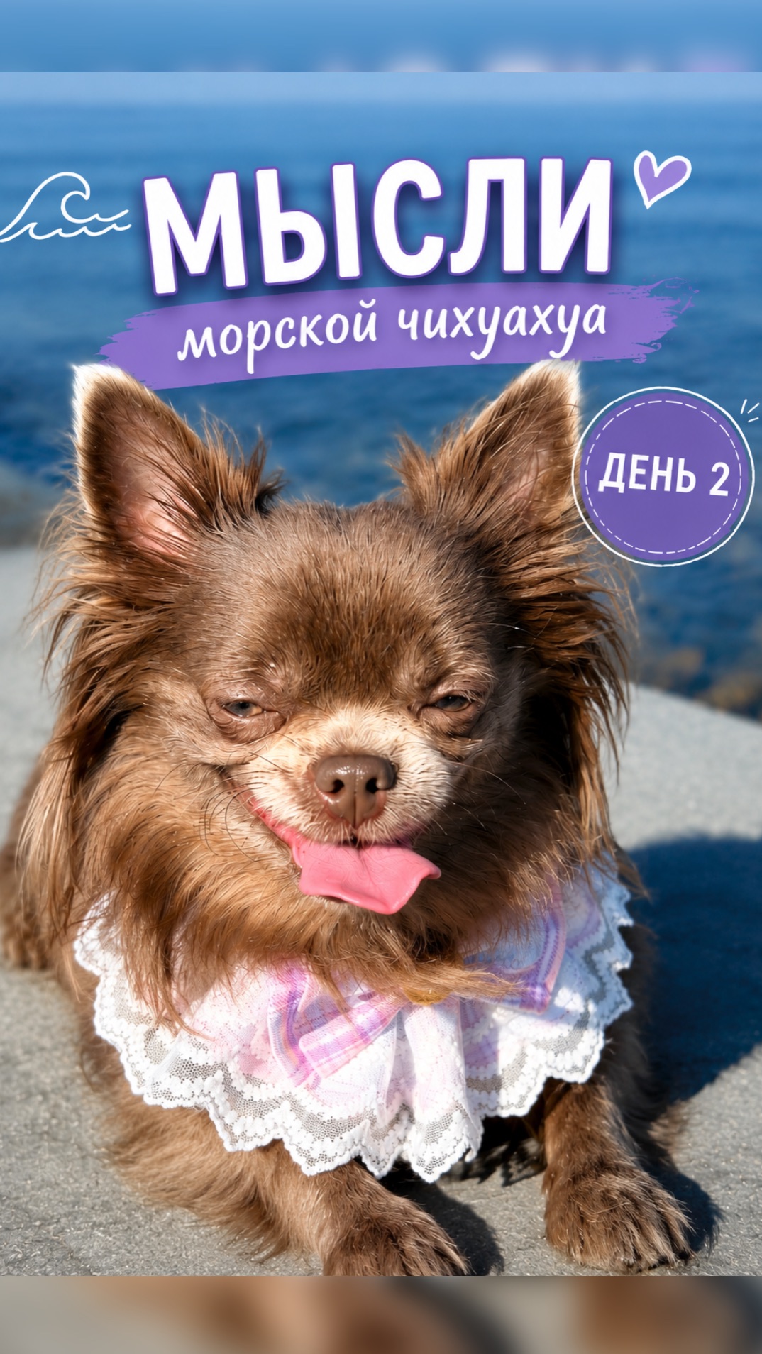 Простой рецепт счастья | мысли морской чихуахуа