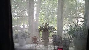 19-06-2026 как хорошо. воды нет успела