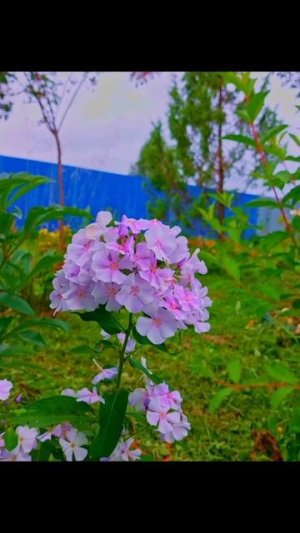 #релакс #расслабление #музыкадлярелакса #спокойнаямузыка #расслабляющаямузыка #звукиприроды #природа