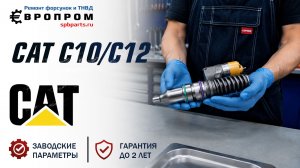 форсунка C10/C12 / 3507555 ремонт и купить