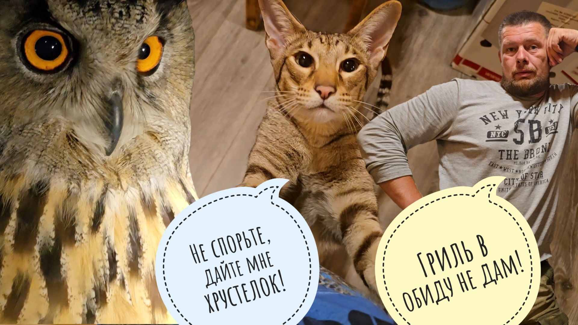 Псу Кубику запретили есть кости. Ночное красивое! Угу на качельках. Артём отстаивает права аэрогриля смотреть онлайн