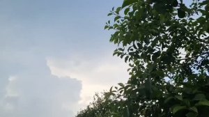 После грозы..⛈️⛈️⛈️