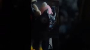 Сокровища обезьян