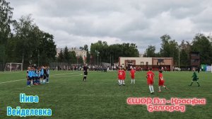 СШОР №1-Красные Белгород vs Нива Вейделевка