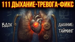 53. Всё что тебе говорили о тревоге, это ложь | За Гранью Кода