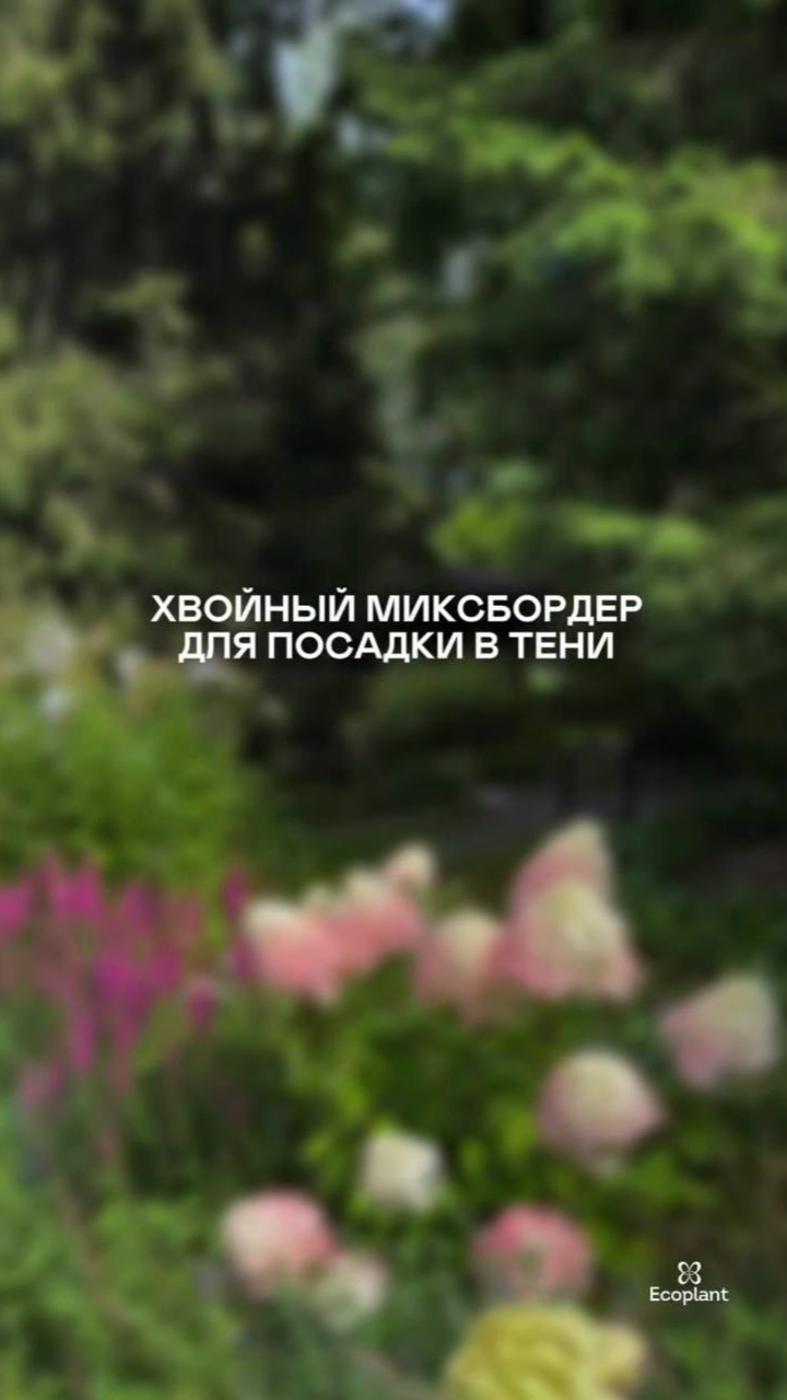 Ничего не сажайте в тени, пока не увидите ЭТО❌ 🌲