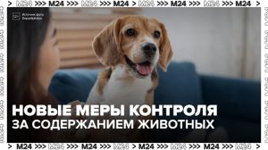 В Госдуме хотят ввести дополнительные меры контроля за содержанием животных