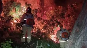 В Лазаревском районе Сочи всю ночь тушили пожар на площади 500 квадратных метров