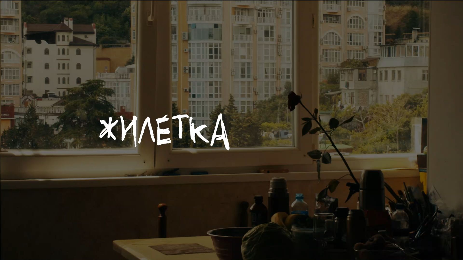 Жилетка