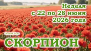 СКОРПИОН | ТАРО прогноз на неделю с 22 по 28 июня 2026 года
