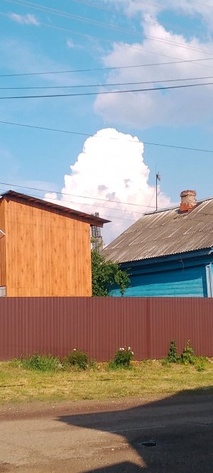 пттп