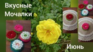 ВКУСНЫЕ МОЧАЛКИ/ ЧИСТИЛКИ/ ИЮНЬ