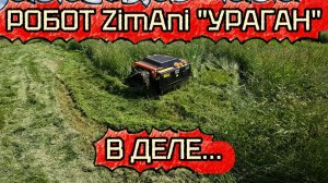 Роботизированная косилка ZimAni «Ураган» в деле!