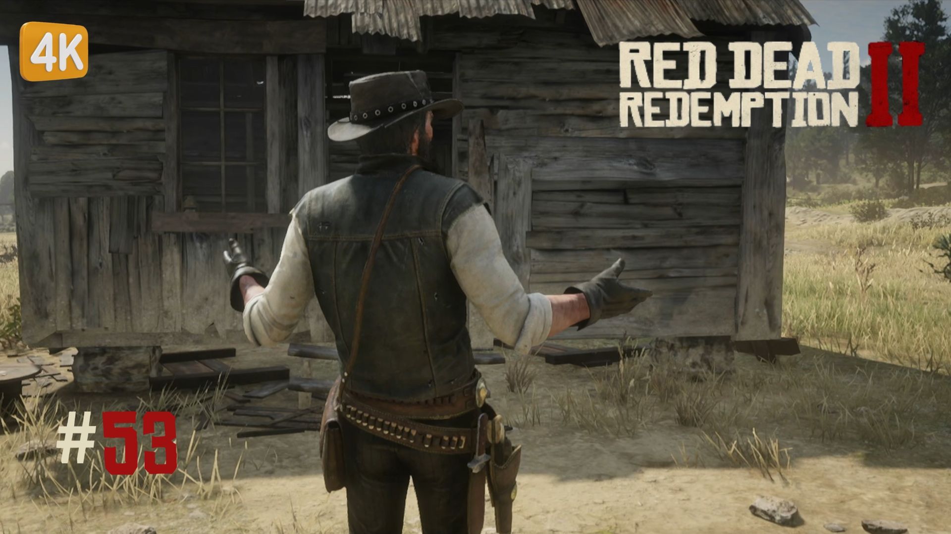 МЕЛКИЙ ЗЕМЛЕВЛАДЕЛЕЦ ► Red Dead Redemption 2 #53 смотреть онлайн