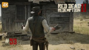МЕЛКИЙ ЗЕМЛЕВЛАДЕЛЕЦ ► Red Dead Redemption 2 #53