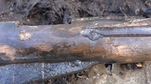 Мы подняли 110 винтовок из болота, Винтовочный альмонах Гагарина, раскопки по войне