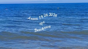Анапа 19.06.2026 про Дельфинов