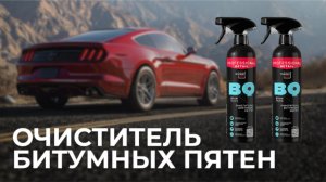 Очиститель Bitum Quick