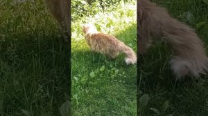 Во как быстро надо обед готовить🫢🫣🤫