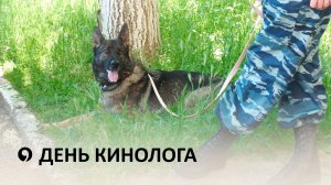 В честь предстоящего Дня кинолога сотрудники полиции Ставрополя рассказали о дрессировке собак