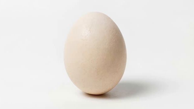 egg смотреть онлайн