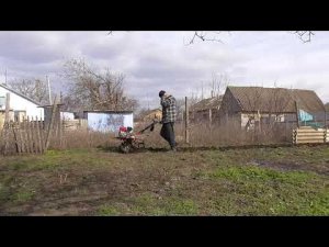 Культивация мотоблоком. Лошадка опять в работе