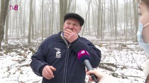 Срубили вековые деревья?
