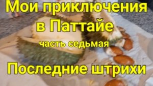 Мои приключения в Паттайе.  Часть седьмая.  ПОСЛЕДНИЕ ШТРИХИ.