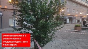 лето 2026