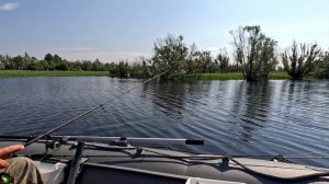 Рыбалка 19.06.26.