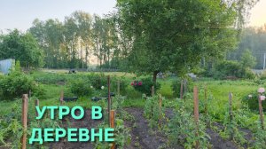 Жизнь в деревне кипит с самого раннего утра