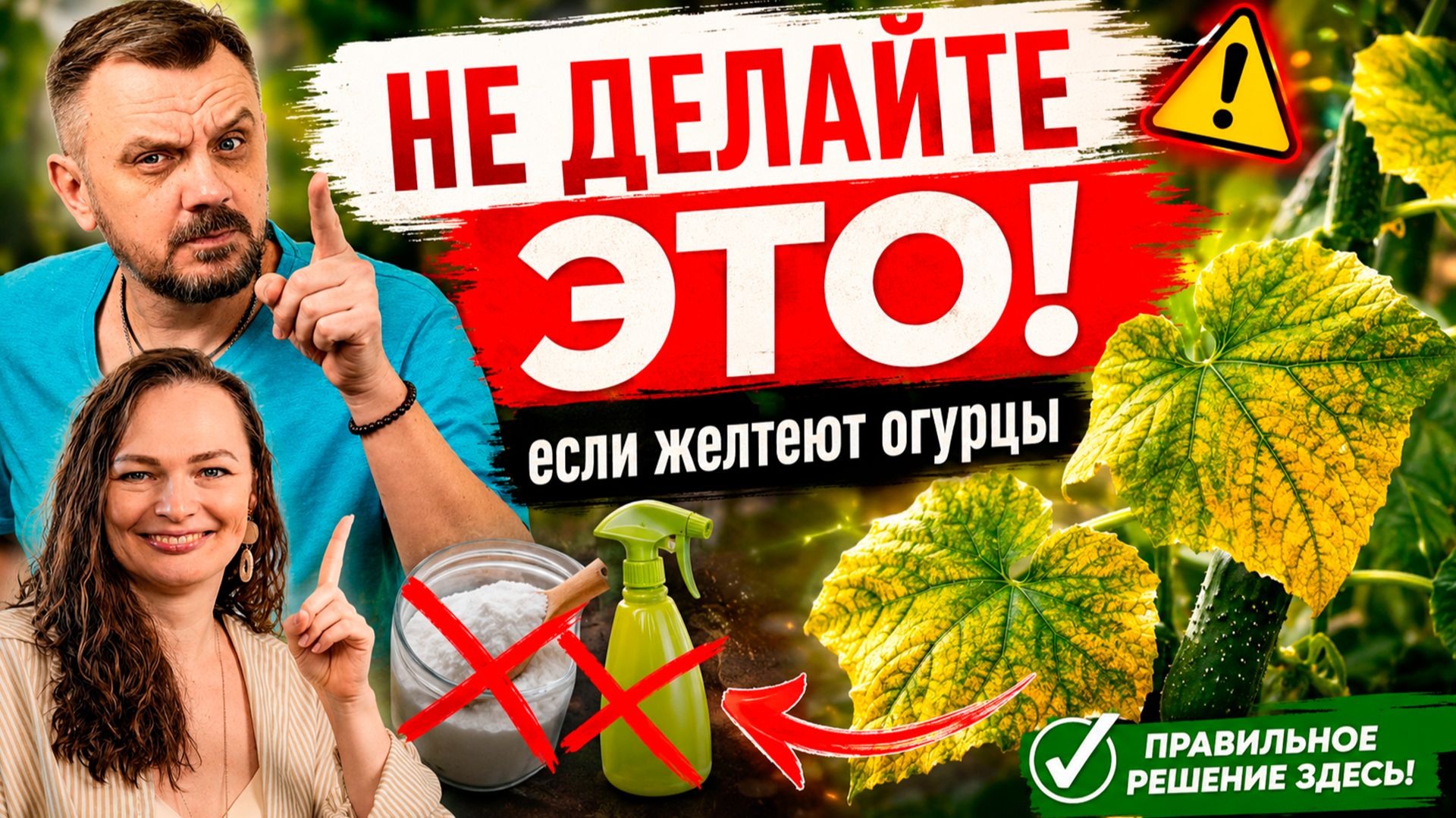 ЭТА ОШИБКА УБИВАЕТ ОГУРЦЫ КАЖДОЕ ЛЕТО смотреть онлайн