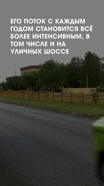 Дорожные огрехи