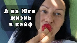 Один день из южной жизни в июне