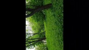 моя большая академическая улица