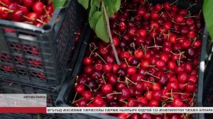Цӕгат Ирыстоны райдыдтой балы тыллӕг ӕмбырд кӕнын