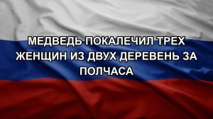 Медведь покалечил трех женщин из двух деревень за полчаса