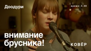 внимание брусника! - Доодури (Ковёр Live)