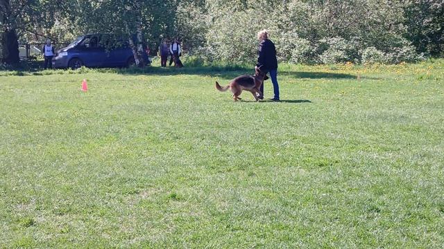 2.  выражено/перв GOLDENSCHLOSS BAVARIA (Quoran Team Ulmental – Voltaks Mafia)