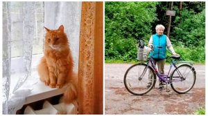 «Жизнь на пенсии».. Капустик скучает без детей.)) Ездили на кладбище.