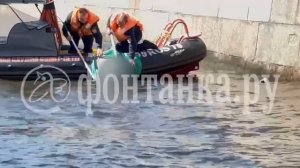Отрубленную человеческую голову только что достали из реки Мойки в Питере