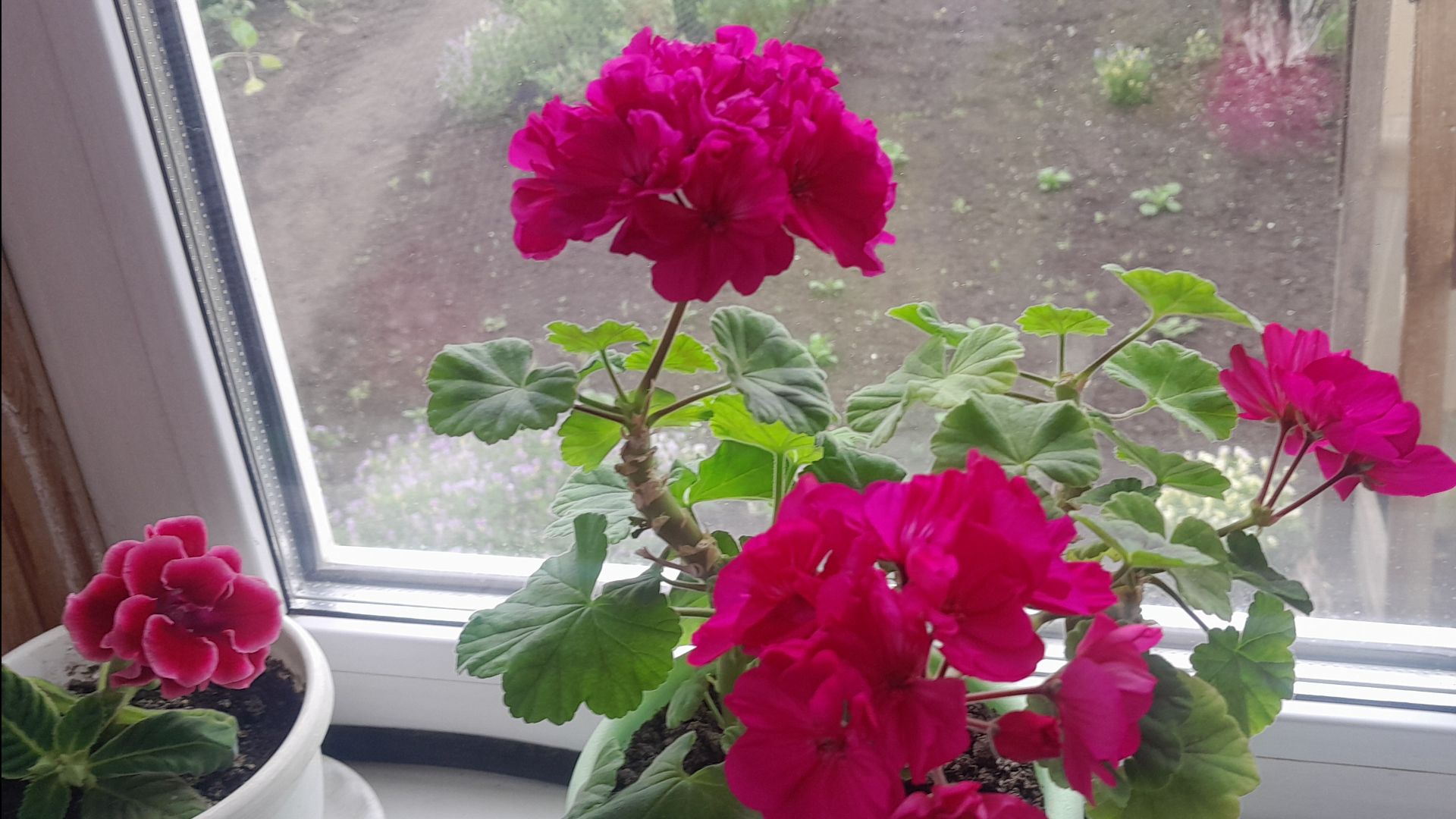 LoveVlog 18.06.2026 Конкретно🌫дубак +8,и это Лето?)Мой Загородный🏡дом/Готовлю пирог с 🍏 и ягодами