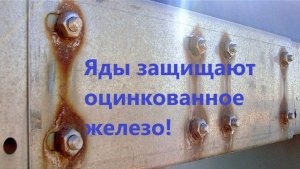 Яды защищают оцинкованное железо!
