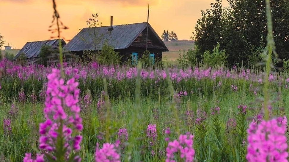 19-06-2026. Жизнь в деревне .Огурцы, петунии, чем подкормить 🤔 смотреть онлайн