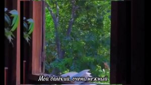 Ты мой славный человечек