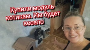 Купили модуль котикам.Им будет весело