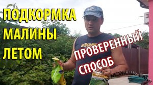 Самый КРУТОЙ способ Как подкормить малину летом