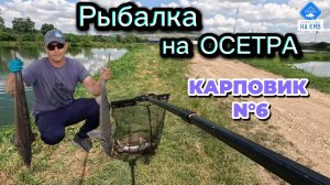 Рыбалка на Осетра  в Ставропольском крае. РК Карповик N°6🎣