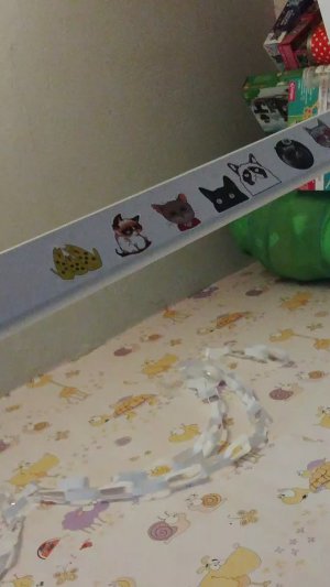 смотрим мои старые альбомы
