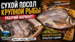 👉 Сухой посол рыбы в ящике! Старый рабочий способ | Все этапы + дегустация